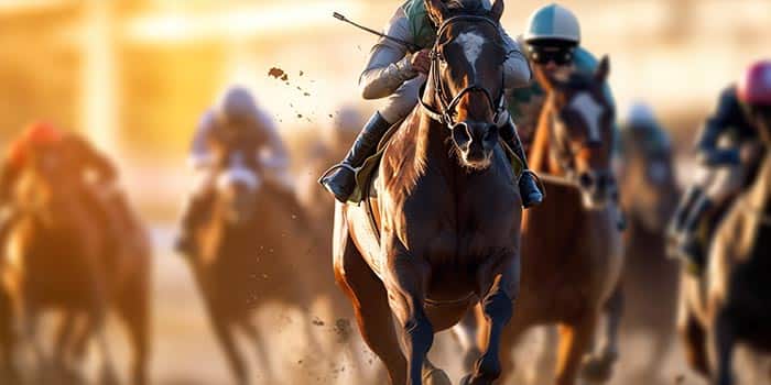 RMG แต่งตั้งกรรมการผู้จัดการใหม่ในขณะที่ Randox Grand National กำลังจะมาถึง